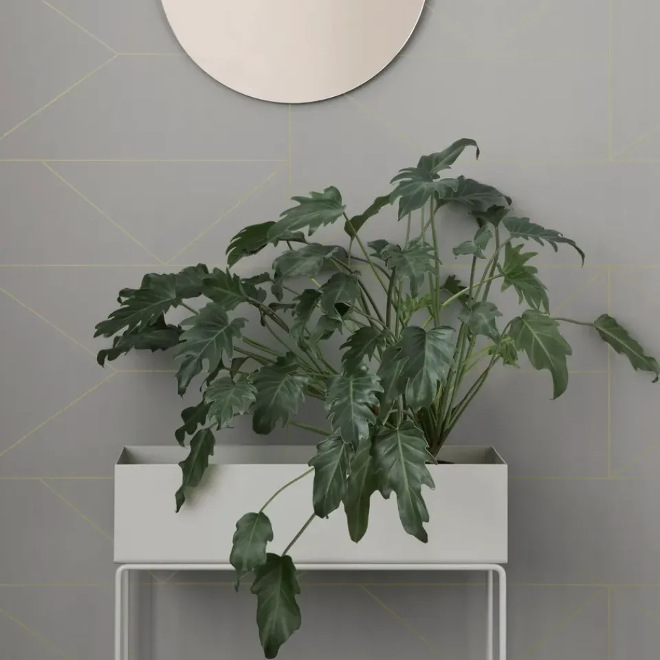 Sale Ferm Living Macetero Plant Box , Gris