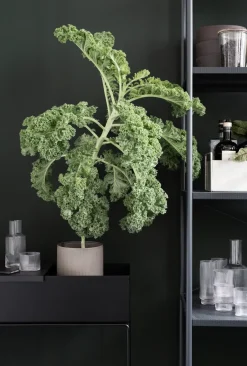Hot Ferm Living Macetero Plant Box , Negro
