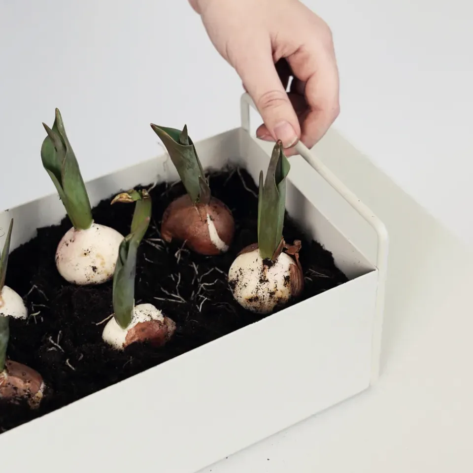 Sale Ferm Living Macetero Plant Box S, claro Gris