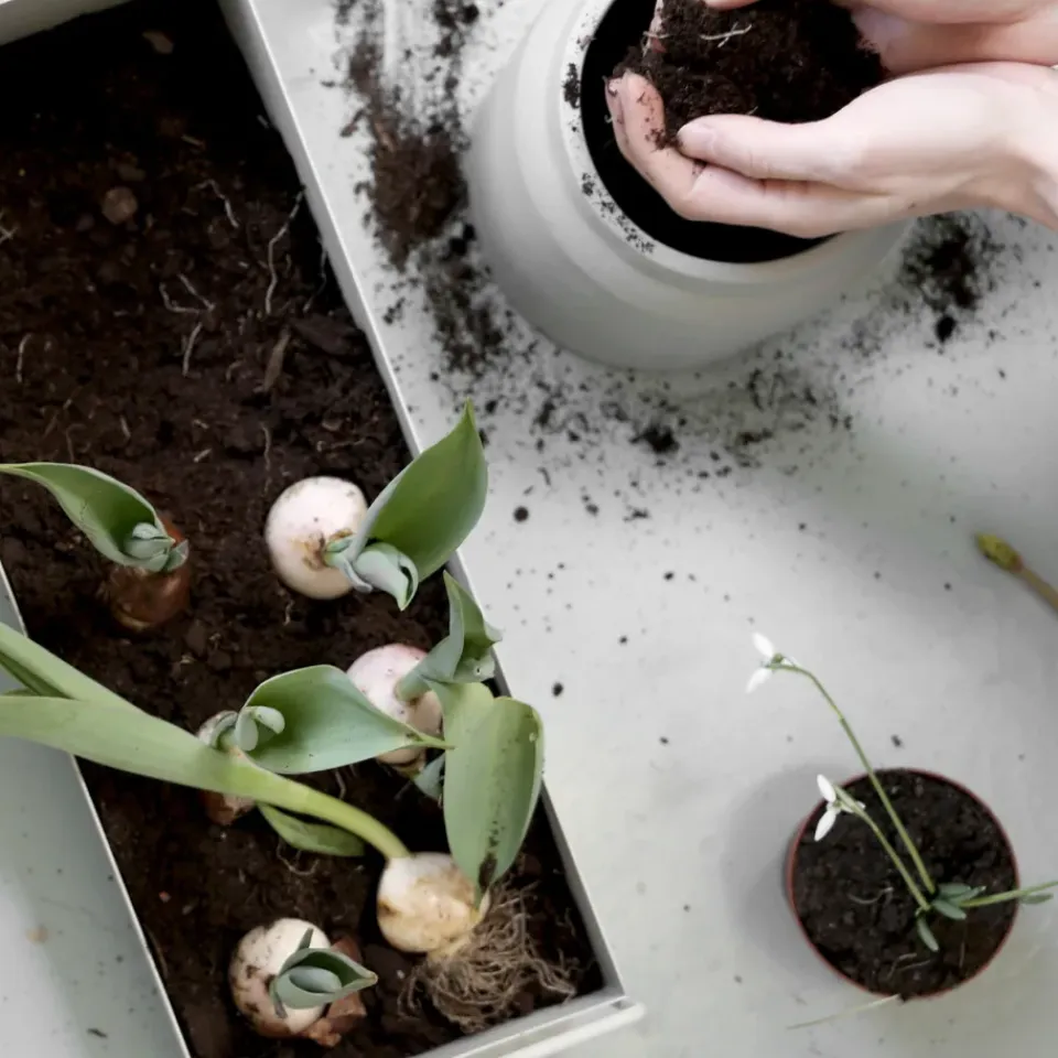 Sale Ferm Living Macetero Plant Box S, claro Gris