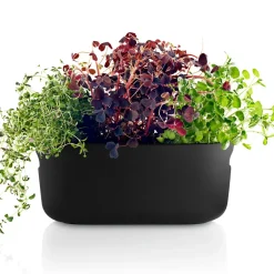 Outlet Eva Solo Organizador de hierbas con auto-riego , Negro