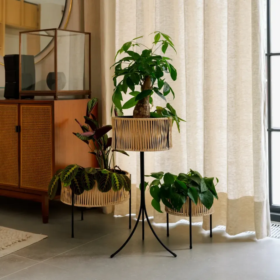 Sale Audo Copenhagen Pedestal para plantas Umanoff ratán-acero, h69 cm Ø36,5 cm Beige
