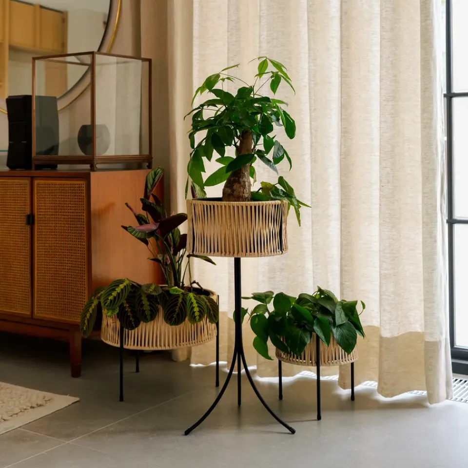 Online Audo Copenhagen Pedestal para plantas Umanoff ratán-acero, h27 cm Ø27 cm Beige