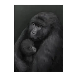 Clearance Kunskapstavlan® Póster Bergsgorillan, 30x40 cm Multi