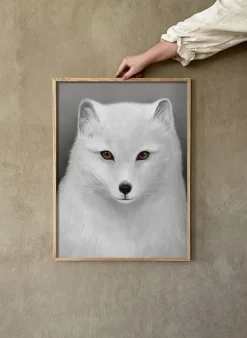 New Kunskapstavlan® Póster Fjällräv, 30x40 cm Multi