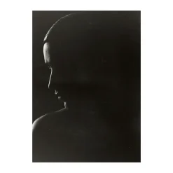 Clearance Paper Collective Póster The Silhouette, 30x40 cm Gris