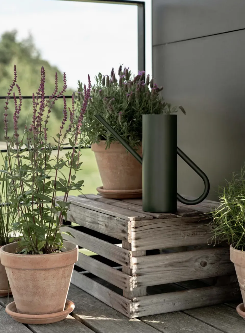 New Stelton Regadera Bloom 2 L, Pine Verde