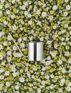 Stelton Regadera Original 1,7 l, acero inoxidable Plateado