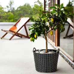 Discount KORBO Saco para plantar 3 piezas, 24 L Negro