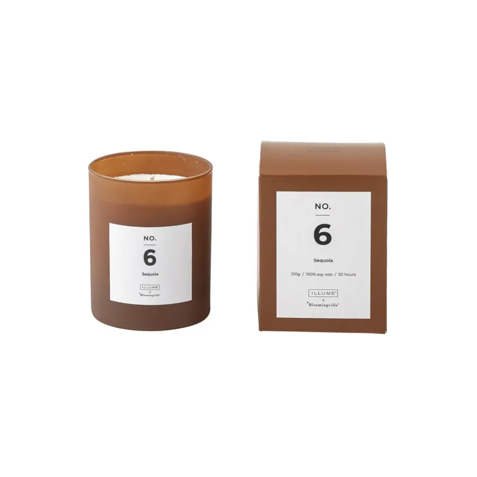 Sale Illume x Bloomingville Vela perfumada NO. 6 Sequoia, 200 g + Caja regalo Marrón