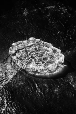 Sale Iittala Wirkkala Ice platter art piece Ø13,5 cm, Transparente